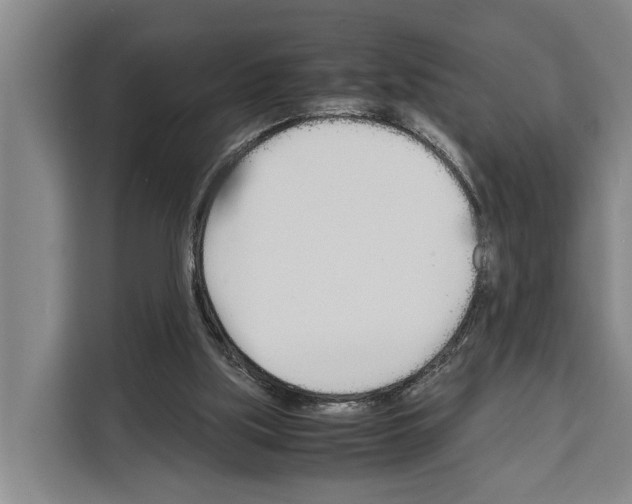 X0000108480059200905151231