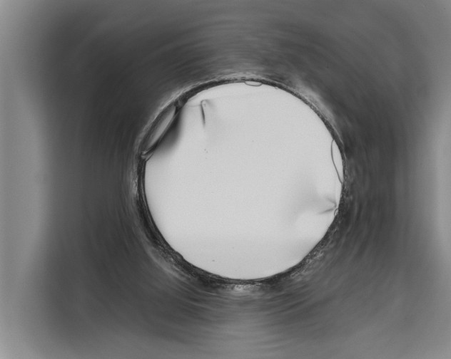 X0000108480060200905151231