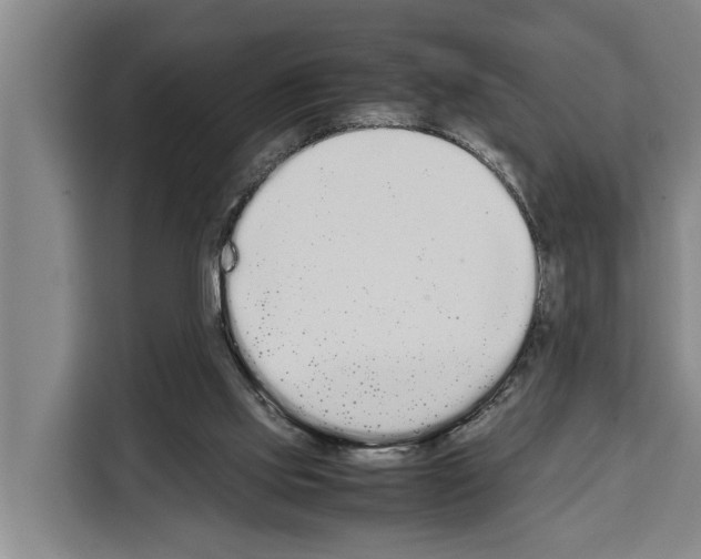 X0000108480061200905151231