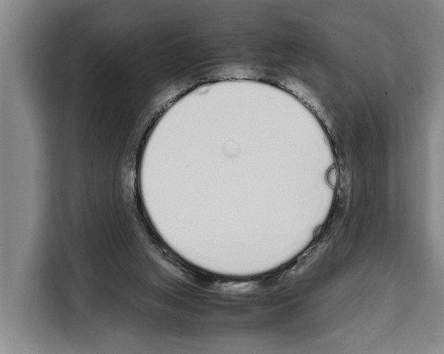X0000108480063200905151231