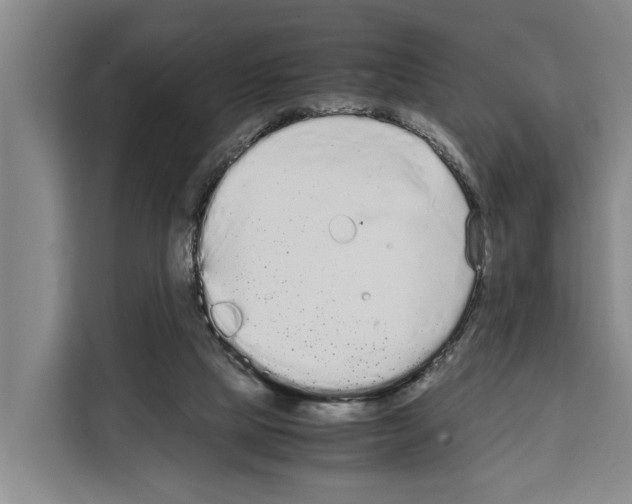 X0000108480065200905151231