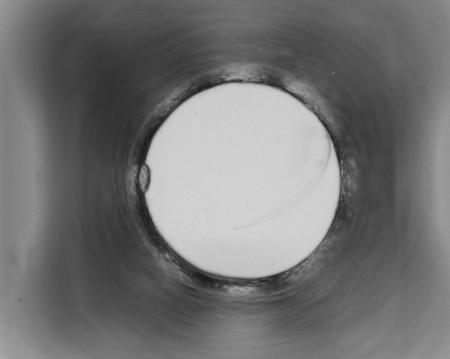 X0000108480066200905151231