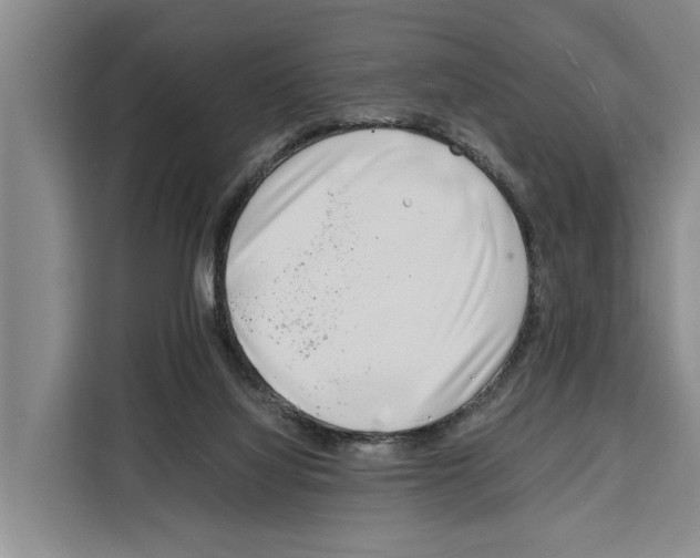 X0000108480068200905151231