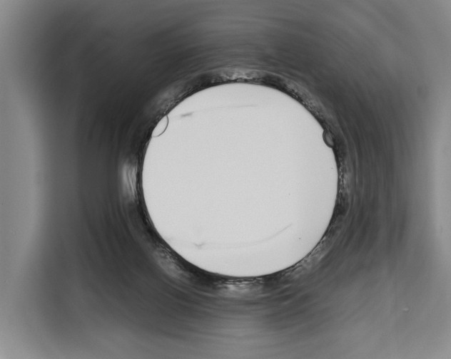 X0000108480070200905151231