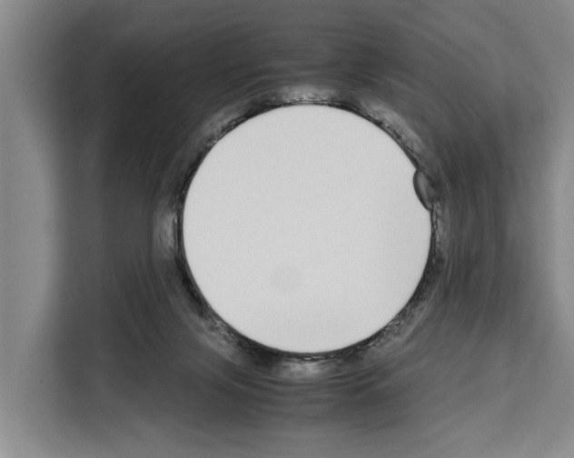 X0000108480071200905151231