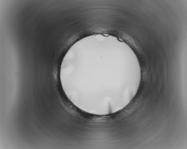 X0000108480072200905151231