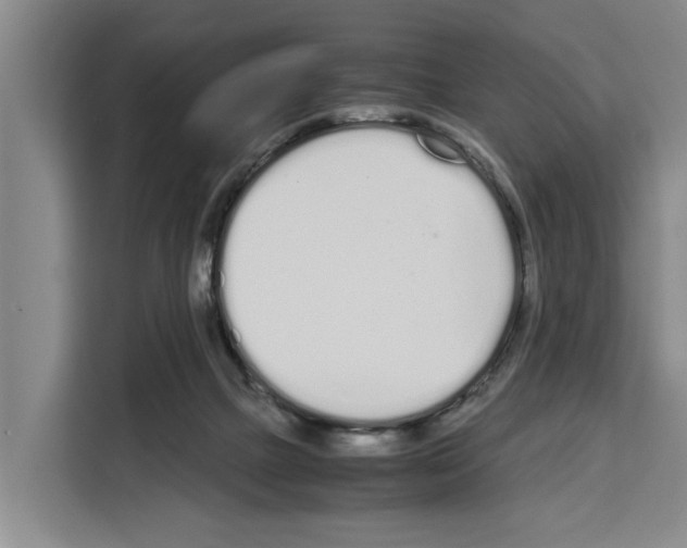 X0000108480073200905151231