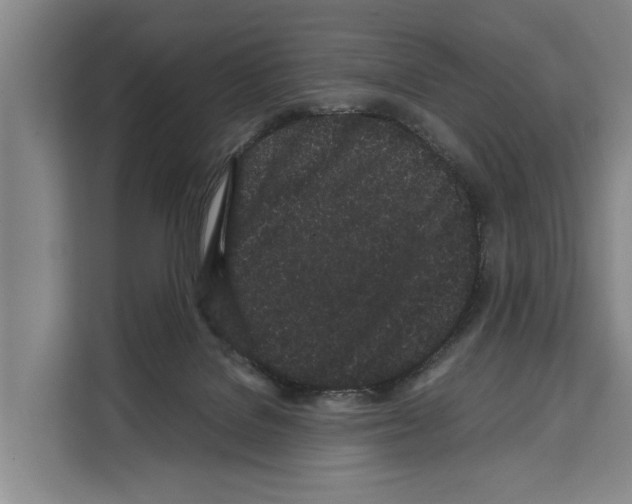X0000108480076200905151231