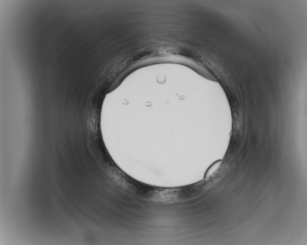 X0000108480078200905151231