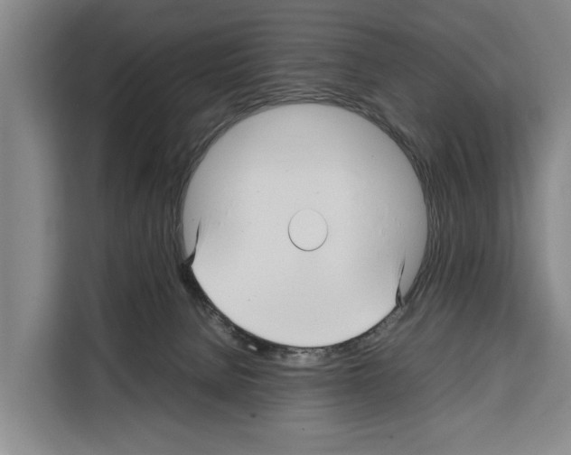 X0000108480080200905151231
