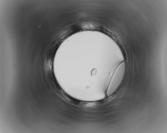 X0000108480081200905151231