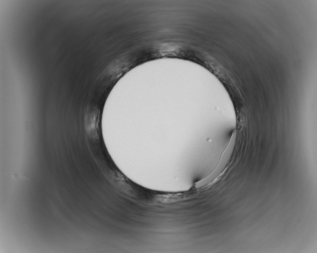 X0000108480082200905151231