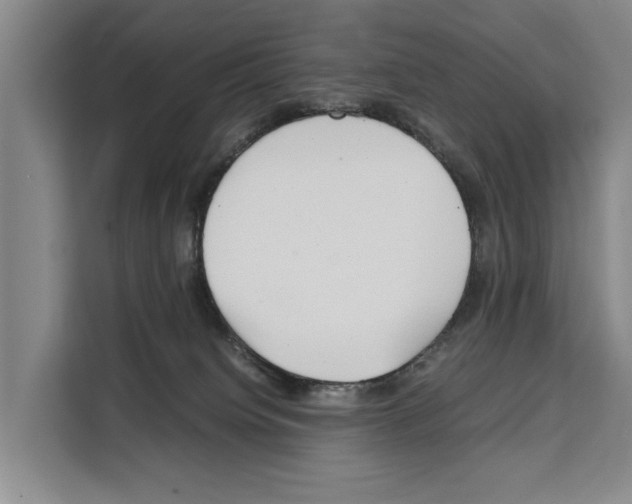 X0000108480084200905151231
