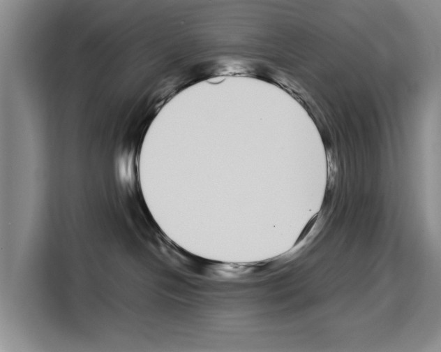 X0000108480094200905151231