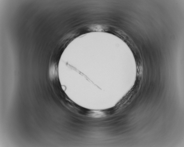 X0000108480095200905151231