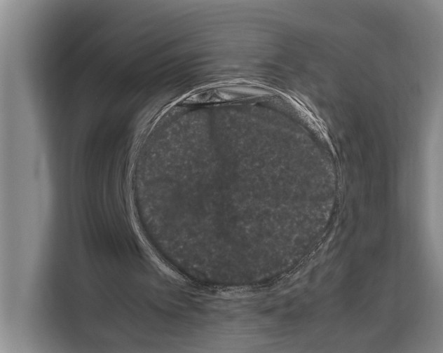 X0000108480097200905151231