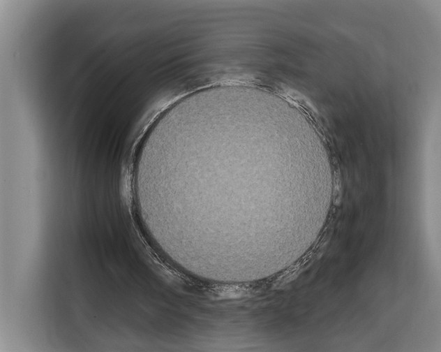X0000108480098200905151231