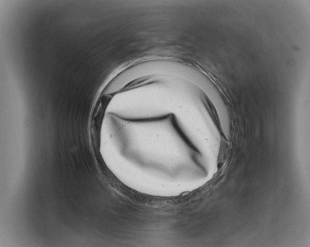 X0000108480100200905151231