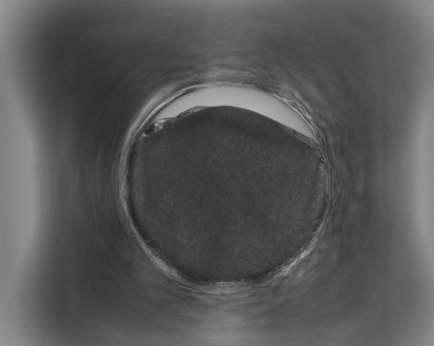 X0000108480101200905151231