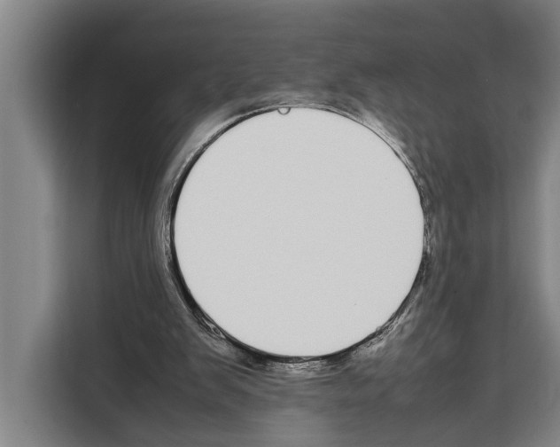 X0000108480103200905151231