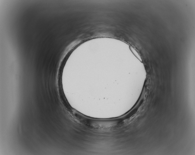X0000108480104200905151231