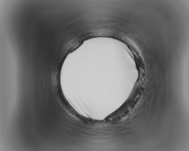 X0000108480105200905151231