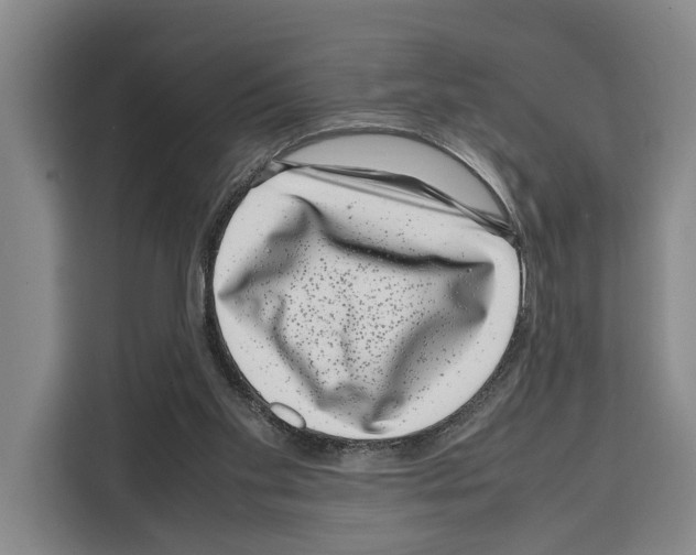 X0000108480109200905151231