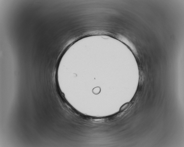 X0000108480111200905151231