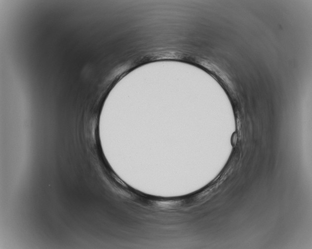 X0000108480115200905151231