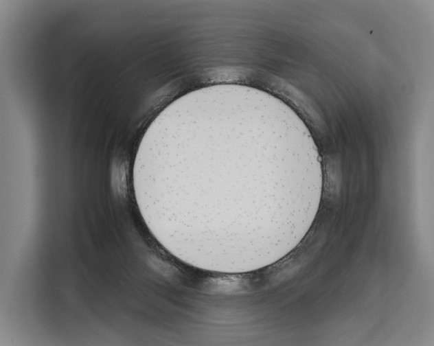 X0000108480118200905151231