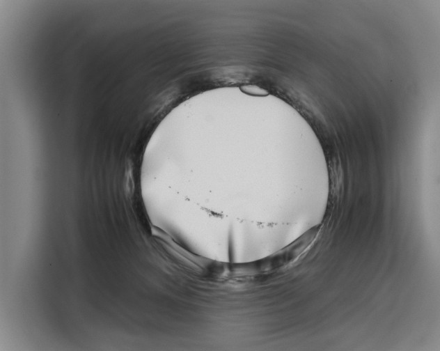 X0000108480128200905151230