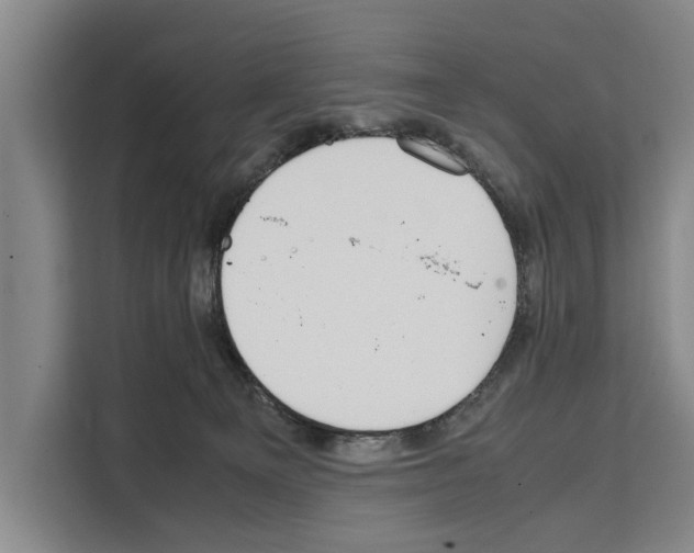 X0000108480129200905151230