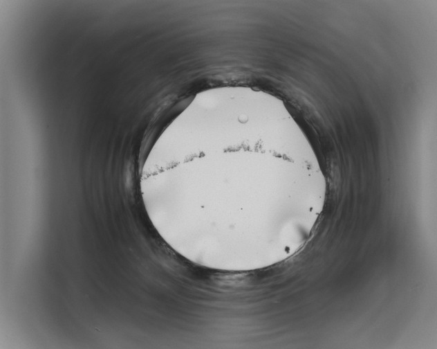 X0000108480132200905151230