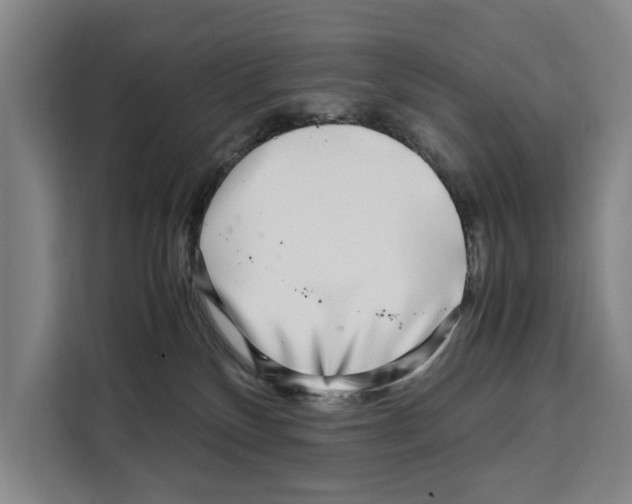 X0000108480136200905151230