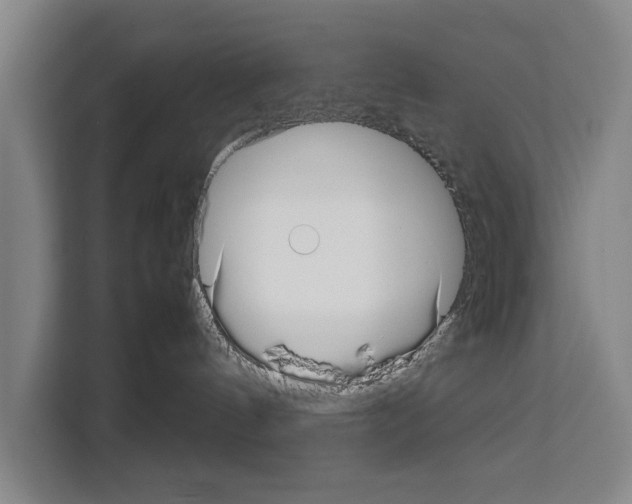 X0000108480144200905151230