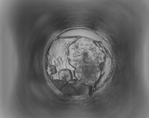X0000108480145200905151230