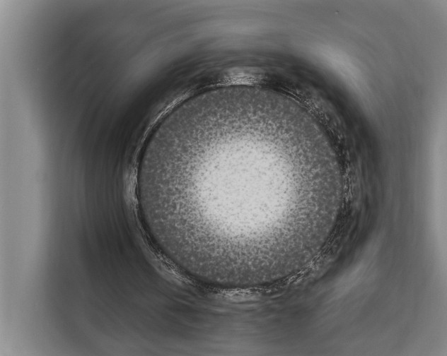 X0000108480146200905151230