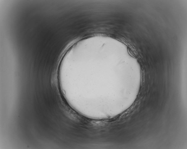 X0000108480147200905151230