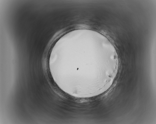 X0000108480151200905151230