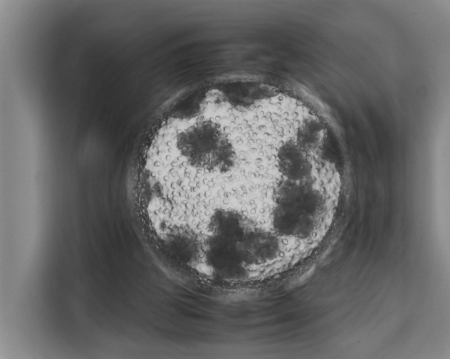 X0000108480153200905151230