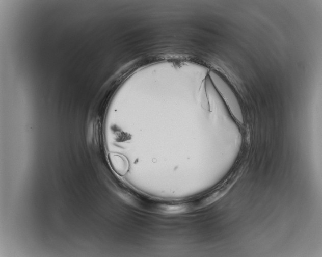 X0000108480165200905151230