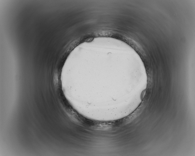 X0000108480166200905151230