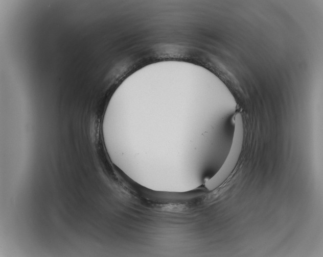 X0000108480168200905151230