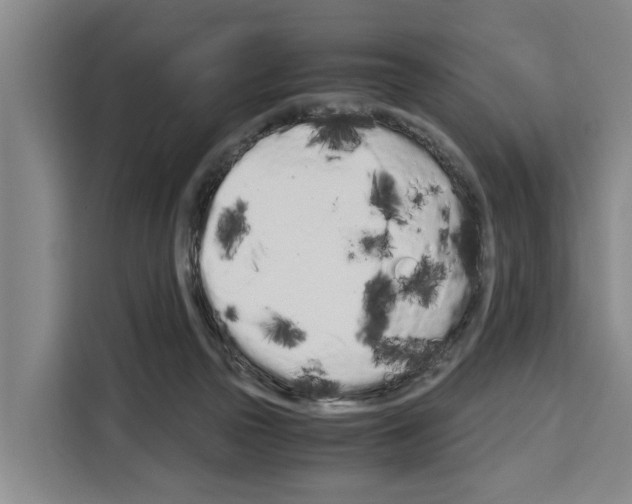 X0000108480169200905151230