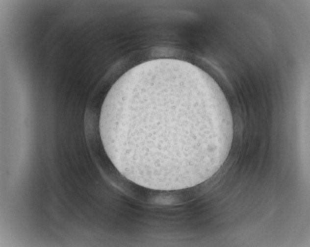 X0000108480171200905151230
