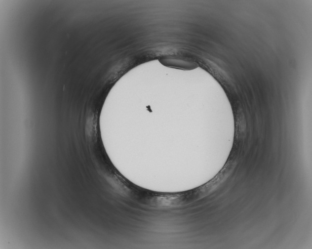 X0000108480172200905151230