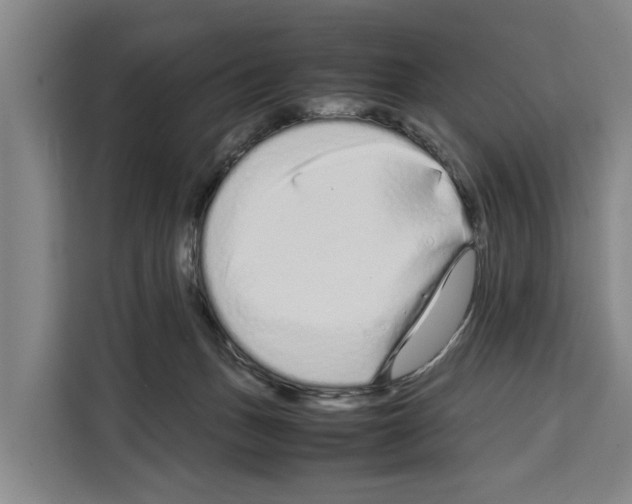 X0000108480175200905151230