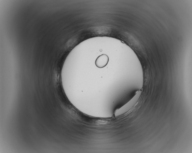 X0000108480176200905151230