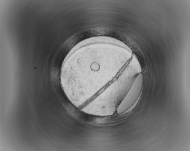 X0000108480178200905151230