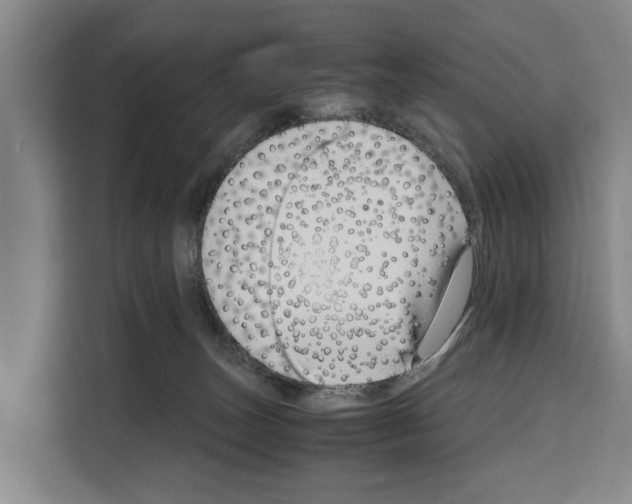 X0000108480179200905151230